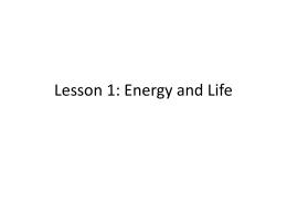 Lesson 1: Energy and Life