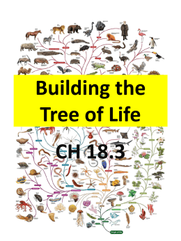 Building the Tree of Life