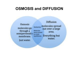 Osmosis and Diffusion Powerpoint