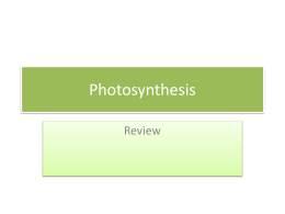 Photosynthesis - Bioenviroclasswiki