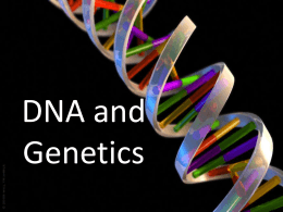 Genes and Heredity 2015