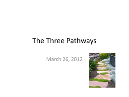 The 3 Pathways - Healthy and Wise