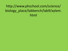 http://www.phschool.com/science/biology_place