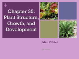 Ch. 35 Plant Basics