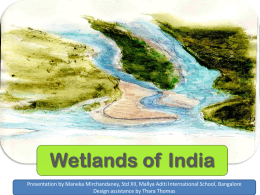 What is a wetland? - School India Water Portal