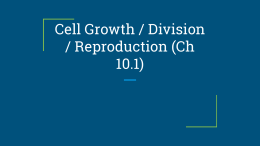 Cell Growth / Division / Reproduction (Ch 10.1)