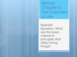 Biology Chapter 2- The Chemistry of Life