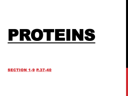 Proteins Notes