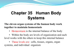 Chapter 35 Human Body Systems