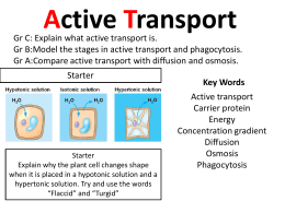 Active transport PP with activity File
