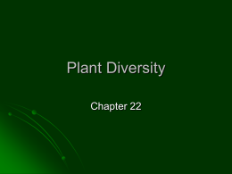 Plant Diversity - Mr. Mathews` Science Spectacular