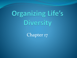 Organizing Life`s Diversity