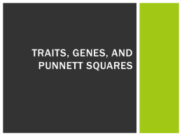 Traits, genes, and punnett squares