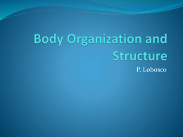 Body Organization and Structure Chapter 22