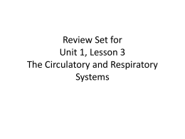 Review Set for Unit 1, Lesson 3 The Circulatory and Respiratory