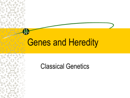 Genes and Heredity - Calgary Christian School