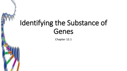 Identifying the Substance of Genes