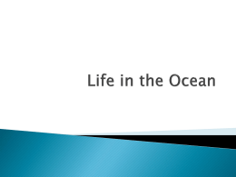 Life in the Ocean - Baptist Hill Middle/High School