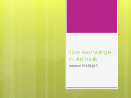 Gas exchange in Animals