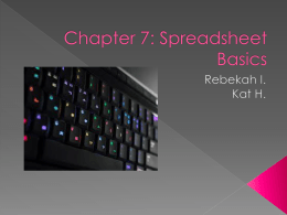 Chapter 7: Spreadsheet Basics