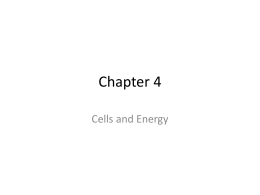 Chapter 4 - Ms. Clark`s Science
