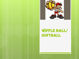 Wiffle Ball/Softball