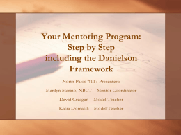 Your Mentoring Program: Step by Step including the