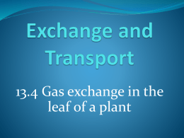 13.4 - Gas Exchange in the Leaf of a Plant