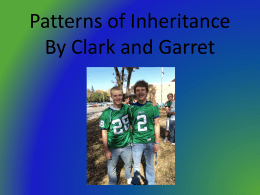 Patterns of Inheritance By Clark and Garret