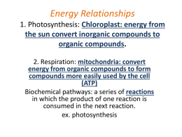 Energy Relationships 1. Photosynthesis: Chloroplast: energy from