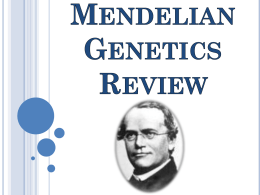 Mendelian Genetics Review