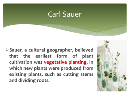 Carl Sauer identified three hearths for seed agriculture in the