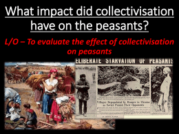 What impact did collectivisation have on the peasants?