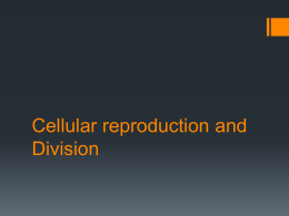 Cellular reproduction and Division