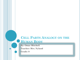 Cell Parts Analogy on the Human Body - NylandBiology2012-2013