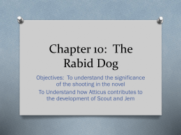 Chapter 10: The Rabid Dog