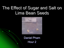 The Effect of Sugar and Salt on Lima Bean Seeds - SMS-HB09