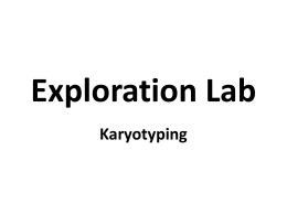 Exploration Lab