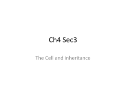 Ch4 Sec3 (7th).