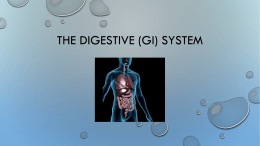 The Digestive (GI) SYSTEM