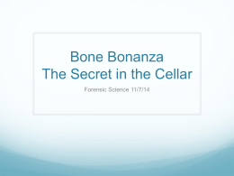 Bone Bonanza The Secret in the Cellar