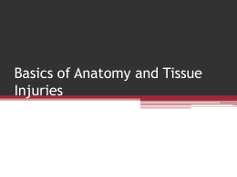 Basics of Tissue Injuries - Doral Academy Preparatory