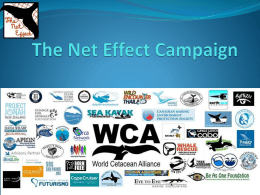 Introduction to the Net Effect – presentation