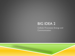 Big idea 2 - tasokapbiology