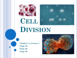 Cell Division - Mahtomedi Middle School
