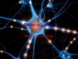 Nervous System - Grand Saline ISD