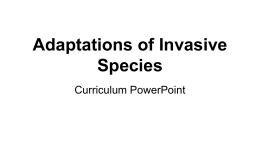 Adaptations of Invasive Species