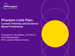 Phantom Limb Pain: Current Theories and Evidence