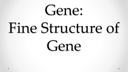 Gene: Fine Structure of Gene