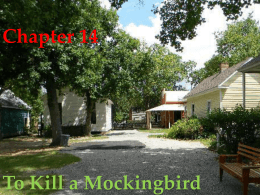 Chapter 14 To Kill a Mockingbird Although we heard no more about